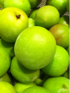 iphone/image-20110624010758.png